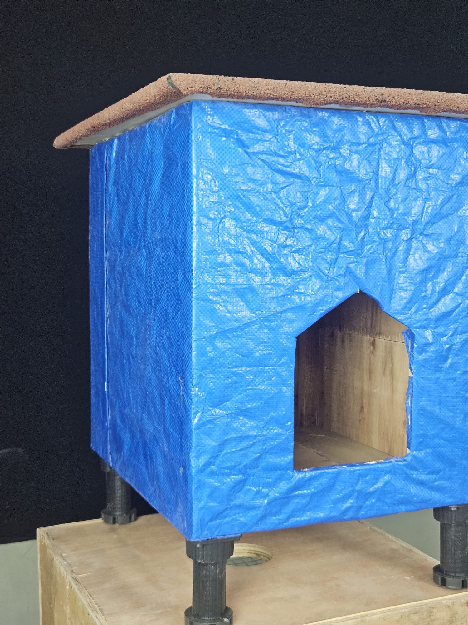 KEDİ EVİ BARINAĞI küçük görsel